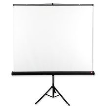 Projection screen on AVTEK Tripod Standard 200 stand (manually unrolled; 200 x 200 cm; 1:1; 111")