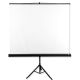 Projection screen on AVTEK Tripod Standard 200 stand (manually unrolled; 200 x 200 cm; 1:1; 111")