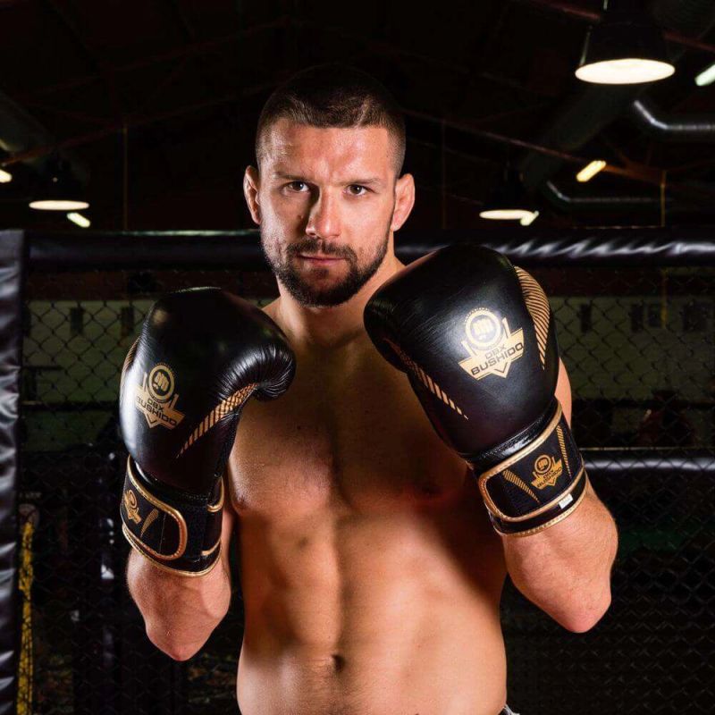 15. 10oz Boxing Gloves - Aureos - Valor Series