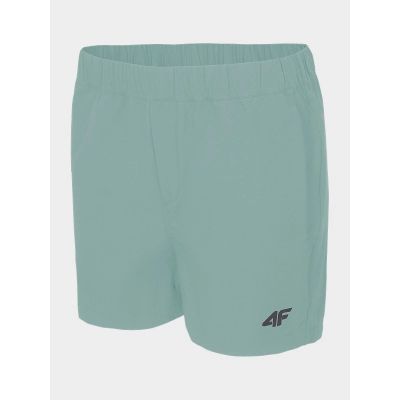 Women's trekking shorts 4F H4L22-SKDTR061-47S