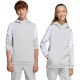 2. Adidas Squadra 25 Sweat Hoody Jr JD4808
