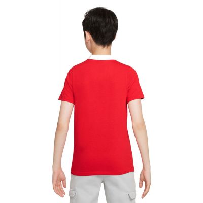 2. Nike Dri-FIT Park Jr. CW6935-657 Polo Shirt