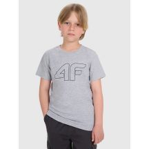 Boy's regular printed T-shirt 4F 4FJRMM00TTSHM3255-25M