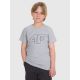 Boy's regular printed T-shirt 4F 4FJRMM00TTSHM3255-25M