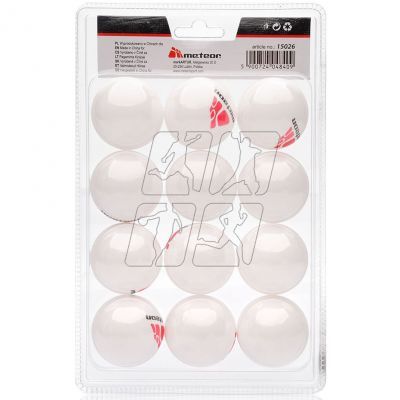 2. A set of 12 ping pong balls Meteor 15026