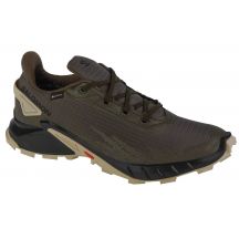 Salomon Alphacross 4 GTX M 471169 running shoes
