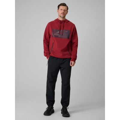 6. Men's regular hooded sweatshirt 4F 4FRSS26TSWSM2975-20S