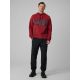 6. Men's regular hooded sweatshirt 4F 4FRSS26TSWSM2975-20S