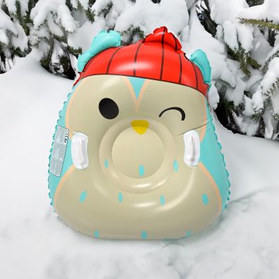 13. Meteor Owl Snow Slide 16765