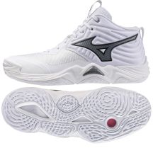 Mizuno WAVE MOMENTUM ELITE MID V1GA251783 shoes
