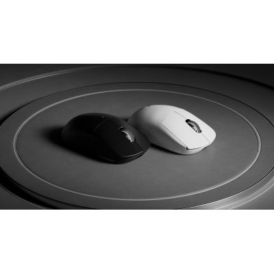 12. Logitech G PRO X SUPERLIGHT 2 Mouse 910-006797
