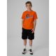4. Boy's regular printed T-shirt 4F 4FJRSS26TTSHM4278-70S