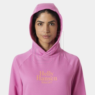 8. Helly Hansen Core Graphic Hoodie W 54239 089