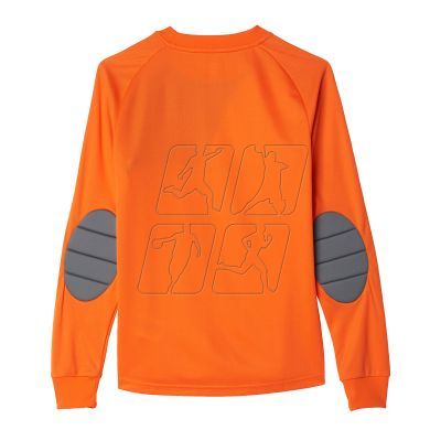 4. Adidas Assita 17 Jr AZ5402 sweatshirt