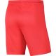 2. Nike Dry Park III NB KM Shorts BV6855 635