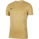 Nike Dri-Fit Park VIII Kids T-Shirt Gold HV8182 729