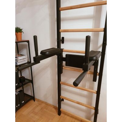 45. GYMNASTIC LADDER WITH A HAND BAR AND A HANDRAIL FOR EXERCISES BENCHK 722B