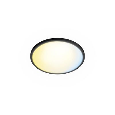 Philips Valen 22W ceiling lamp