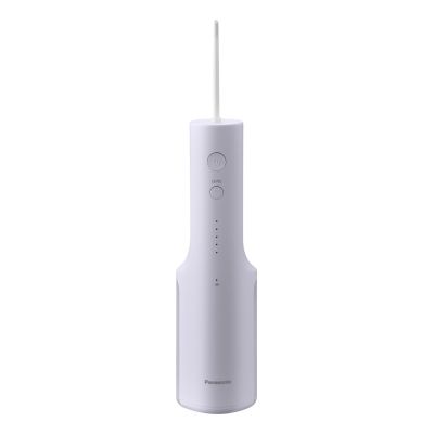 3. Panasonic EW-DJ26-V303 irrigator