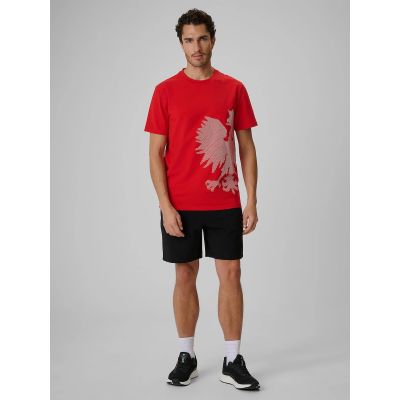 3. Men's cotton fan T-shirt 4F 4FRSS26TTSHM4200-62S