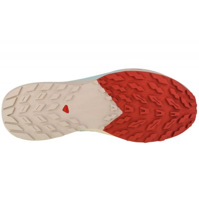 4. Salomon Sense Ride 5 M 472117 shoes
