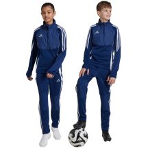adidas Tiro 24 Winterized kids' pants blue IY0117