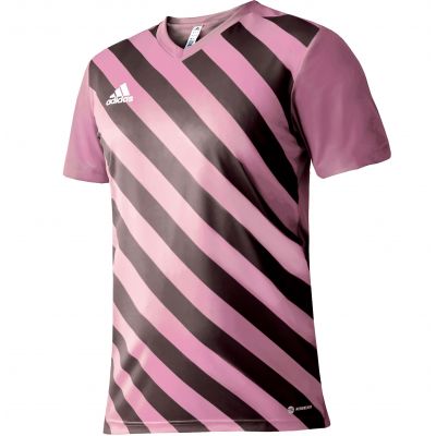 adidas Entrada 22 Graphic Jersey M HC2633