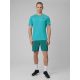 5. Men's 4F Training Shorts 4FWSS26TFSHM1278-20S