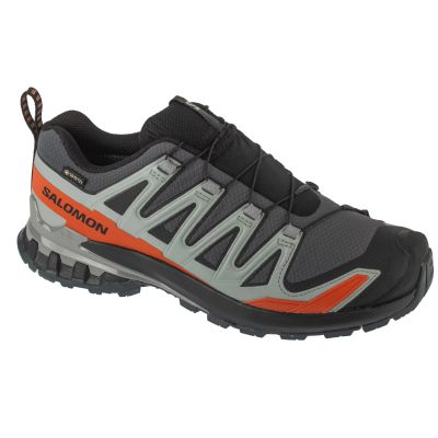 Salomon XA Pro 3D v9 GTX L47817500 Gray 40