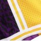 3. Mitchell & Ness Men's NBA LA Lakers Wild Life Swingman Shorts