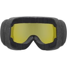 UVEX Downhill 2100 CV planet Ski Goggles