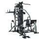 HORIZON FITNESS Torus 5 atlas