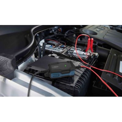 13. Ansmann 1001-0142 Vehicle Charger 6 - 12 V Black