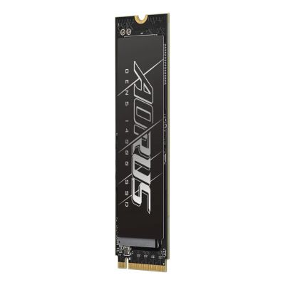 4. GIGABYTE AORUS Gen5 14000 SSD - 1TB - internal - M.2 2280 - PCI Express 5.0 x4 (NVMe) - buffer: 2GB (AG514K1TB)