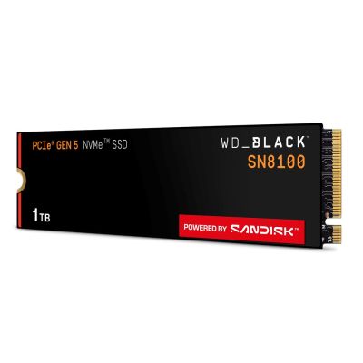 6. SSD WD Black SN8100 w/o HS 1TB WDS100T1X0M