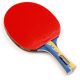 Meteor Windstorm 15018 Table Tennis Racket