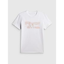 Men's T-shirt 4F 4FWSS26TTSHM3035-10S