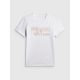 Men's T-shirt 4F 4FWSS26TTSHM3035-10S