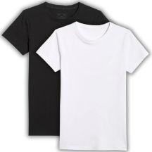 Women's T-shirt (SET OF 2 T-SHIRTS) 4F 4FWMM00TTSHF3306-10S-20S