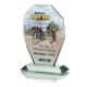 LuxorJet Color Printed Glass Trophy with Case