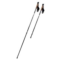 ALPENSTOCK II Nordic walking poles