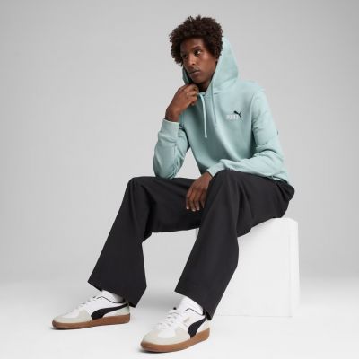 5. Puma Ess 2 Color Small No.1 Logo Hoodie TR M 684719 67