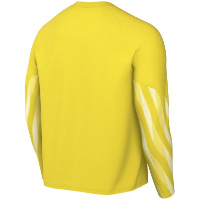 4. Nike Dri-Fit Park V Stadium Men's Jersey Yellow HV8314 718