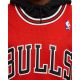 4. Mitchell & Ness Men's Chicago Bulls NBA Swingman Jersey Scottie Pippen #33 SMJYGS18153-CBUSCAR97SPIN