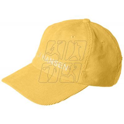 3. Helly Hansen HH Graphic Cap 48146 341