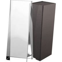 Glass trophy with case