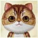 7. Nimmy Big Eyed Pet 2.0 Cat Case for iPhone 16 Pro - Green