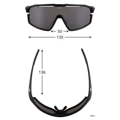 2. GOGGLE VIPER E595-1 glasses