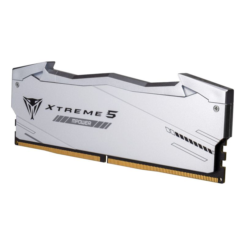 3. Patriot Memory Viper Xtreme 5 RGB Memory Module 48 GB 2 x 24 GB DDR5 6400 MT/s 288-pin DIMM ECC Correction