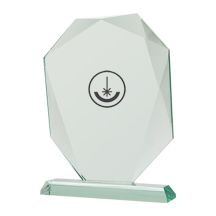 Engraved glass trophy with case